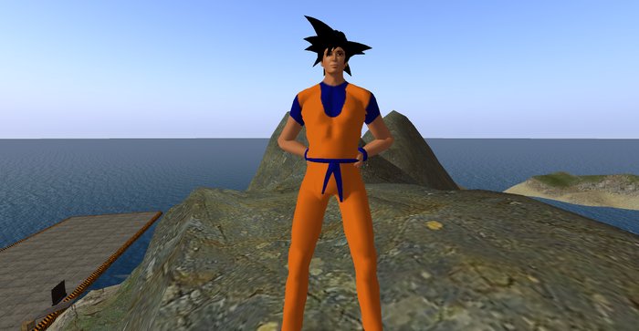 gokus full outfit full perm