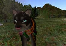 Twi~Cougar Chipmunk Necklace vines