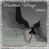 Feather Wings(Black)  (#30022)