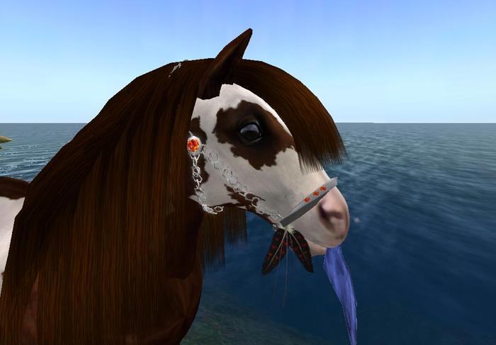 Wh~Chained feather Halter (friesian mod ONLY)