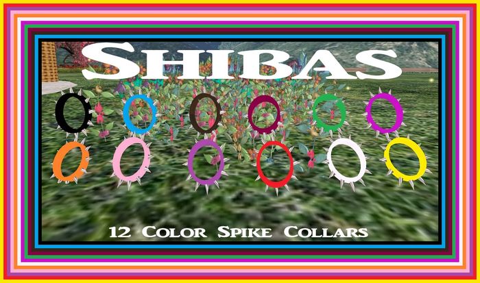 Shiba 12 Color Spike Collar
