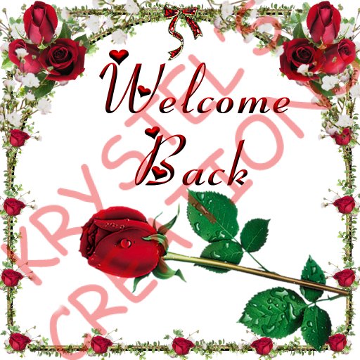 WB24 Welcome Back (Rezz Me)