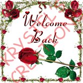 WB24 Welcome Back (Rezz Me)