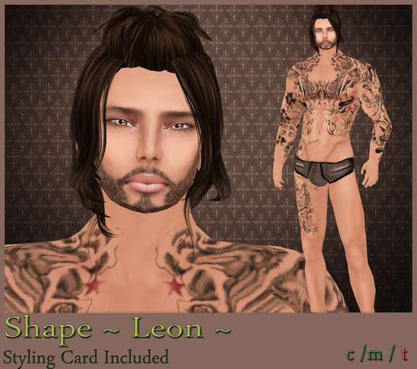  ~ SHAPE LEON ~ 