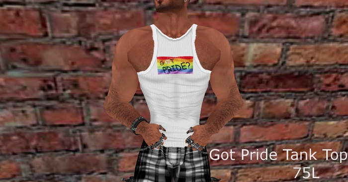 Got Pride Tank Top-Tater Designs