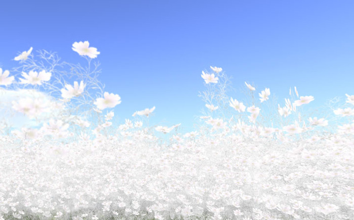 Caught in Cosmos_ white