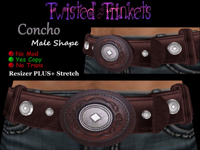 Belt Western Silver Concho Brown (male)