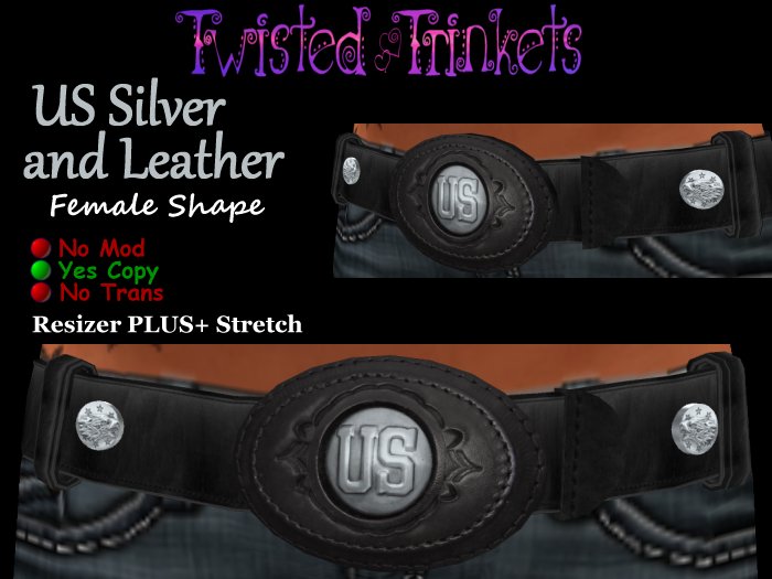 Belt US Silver Black (female)