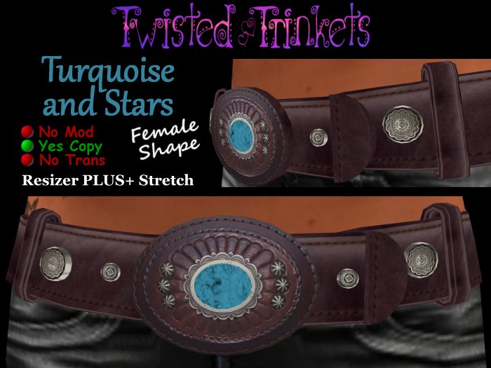 Western Turquoise Belt (female)