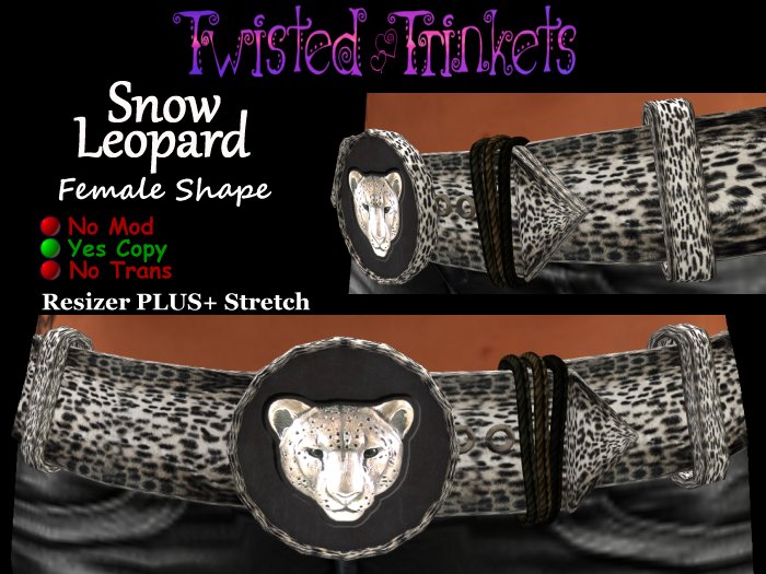 Belt Snow Leopard (female)
