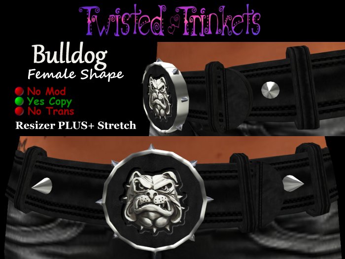 Bulldog Belt (female)