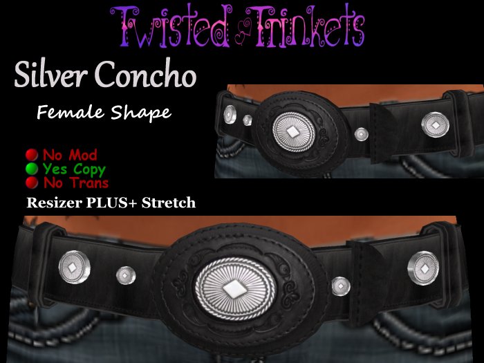Western Silver Concho Black Belt (female)