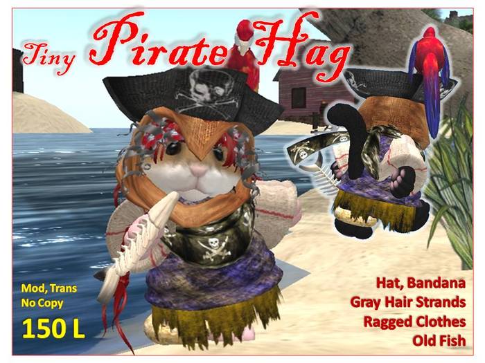 Tiny Pirate Hag