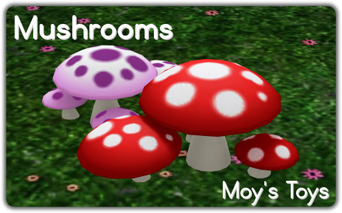 MT - Mushrooms