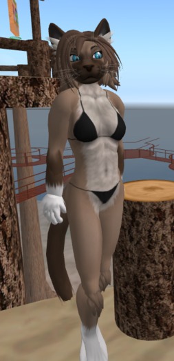 Ivy's LW 3.0 Cat SHAPE ONLY