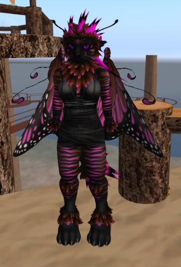 Ivy's LW Kellashee SHAPE ONLY