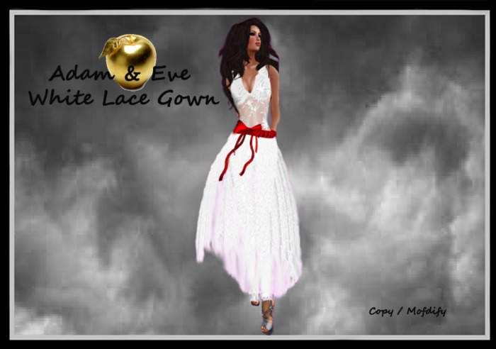A & E White Lace Gown