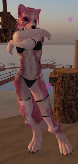 Ivy's DSD Collie 1 SHAPE ONLY