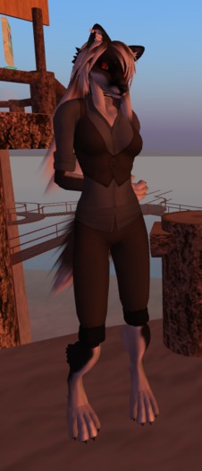 Ivy's DSD Fox SHAPE ONLY