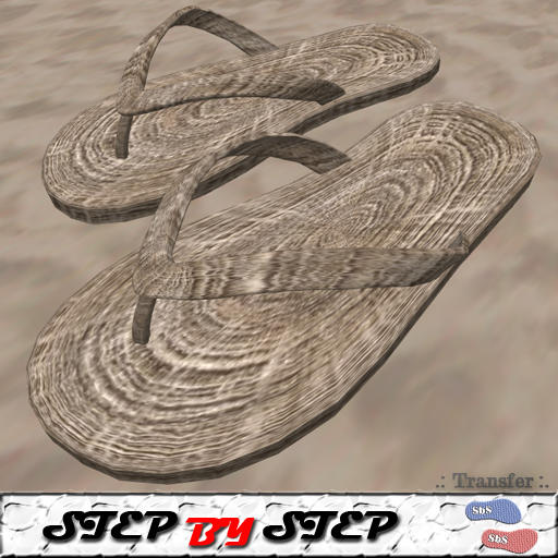 *SbS* Sandalia T2 Marrom #M