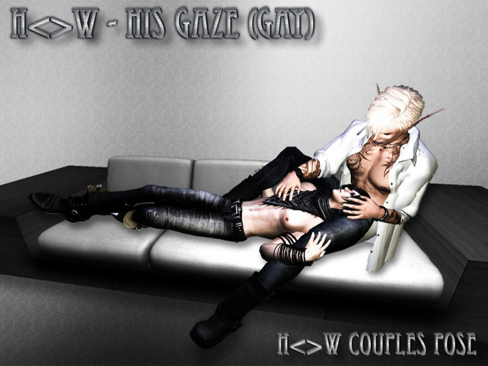H<>W Couples Pose - His Gaze (Gay) (Boxed)
