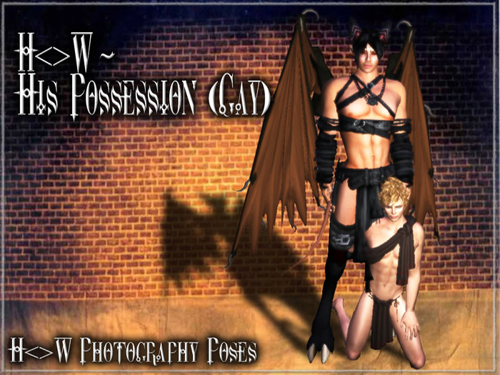 H<>W Couples Pose - His Possession (Gay) (Boxed)
