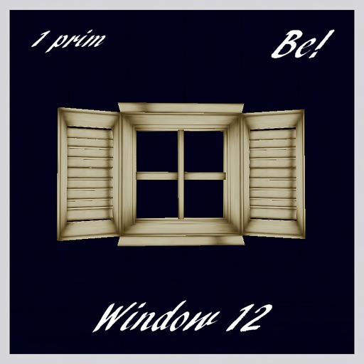Window 12  SCULPT  FOR  BUILDERS boxed