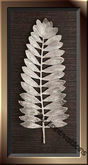Silver Leaf 2
