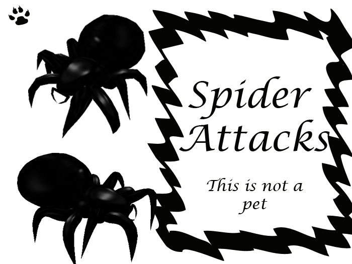 Spider attacks