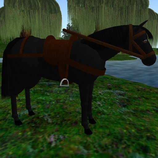 Fast ridable black Horse