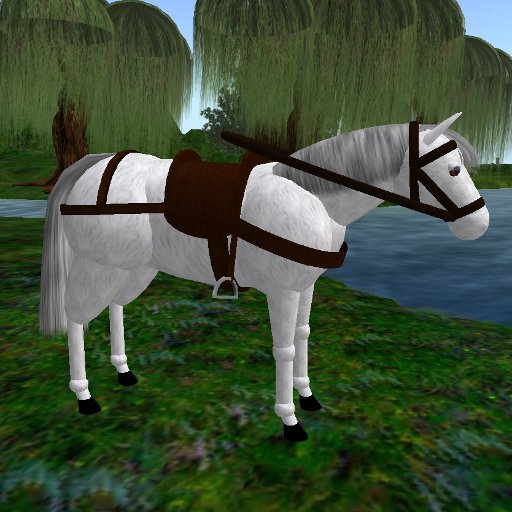 Fast ridable white Horse