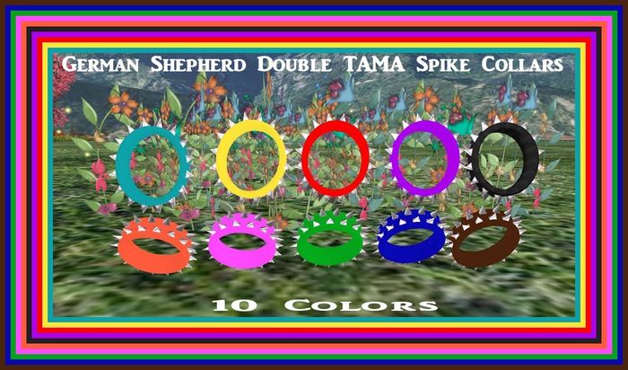 German Shepherd Double TAMA Spike Collars