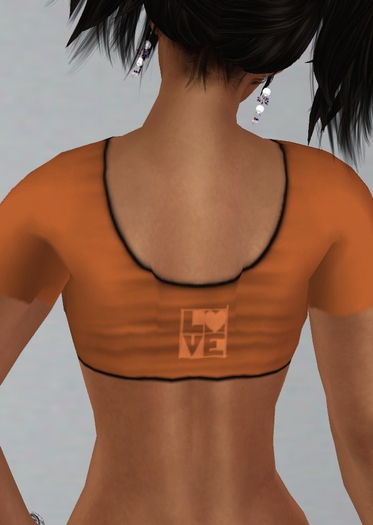 Orange Burnt Love Crop Shirt and Leggings Outfit