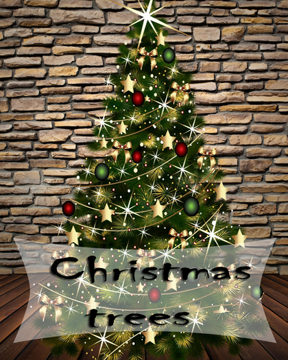 Christmas trees 23