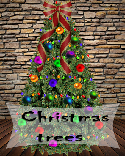 Christmas trees 29