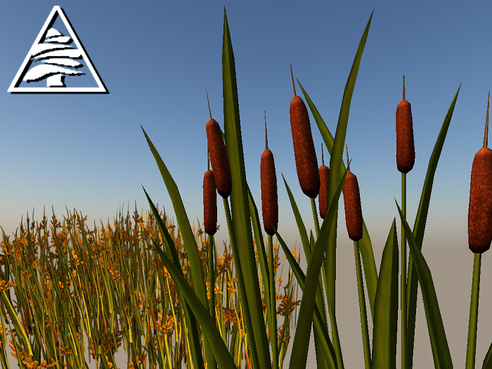cattail 8pcs = 3 prims + reed 1 prim COPY MODIFY