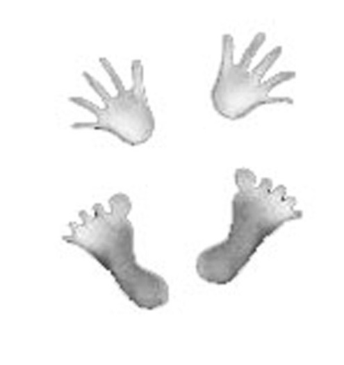 Feetprints