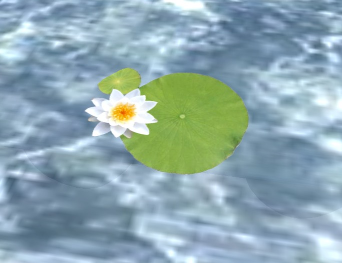 Water Lily full permission by H&g