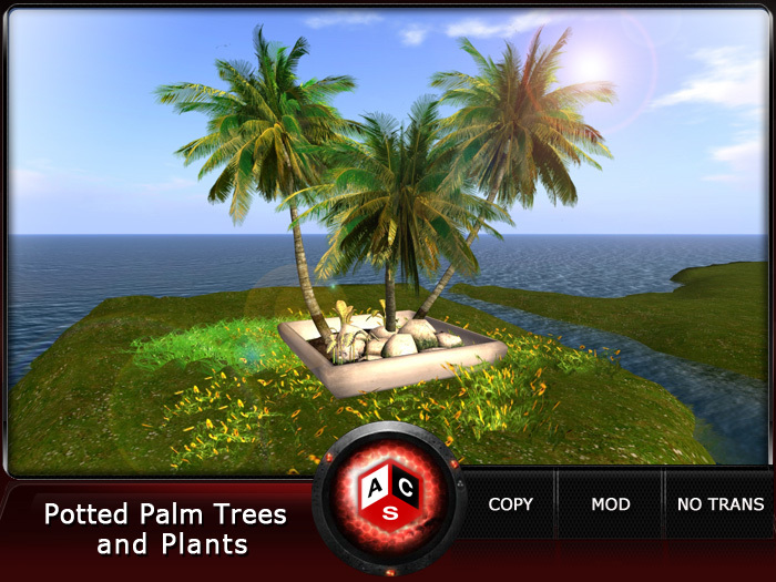 ACS Potted Palm Trees and Plants
