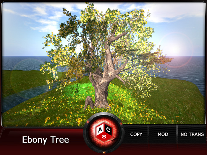 ACS Ebony Tree