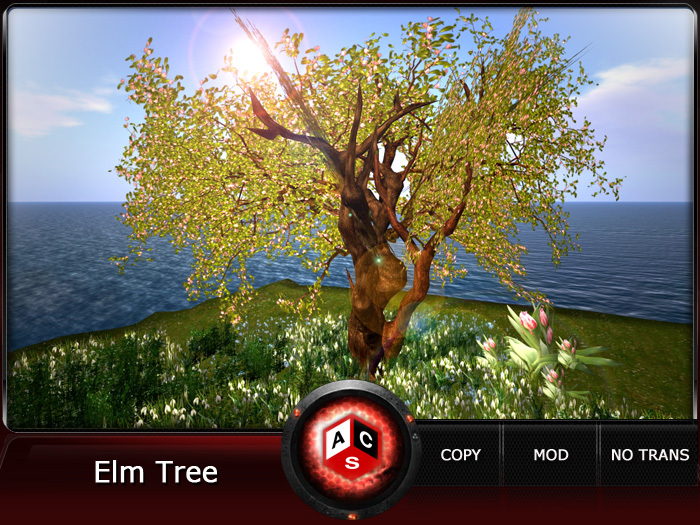 ACS Elm Tree