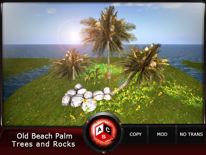 ACS Old Beach Palm Trees and Rocks