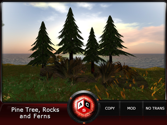 ACS Pine Tree, Rocks and Ferns