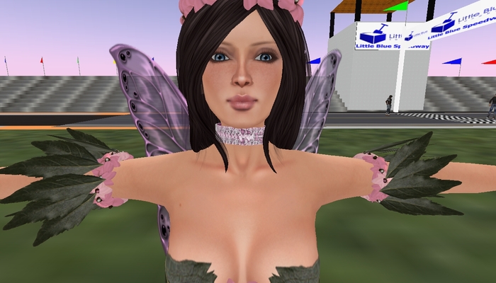 Pink Lace OpenCollar (Petite)