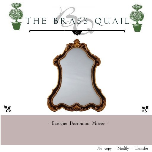 · Borromini Mirror ·