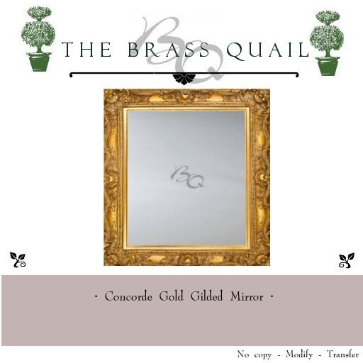· Concorde Mirror ·