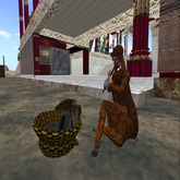 Snake Charmer - Incantatore di serpenti BOX