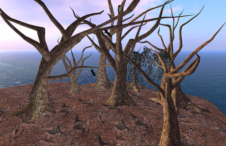 Dead Tree Mod Second Life Marketplace - Dead Trees Pack Halloween Trees Haunted Role ...