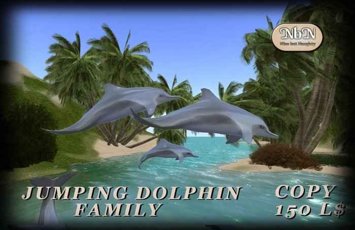 NbN  jumping dolphin family 