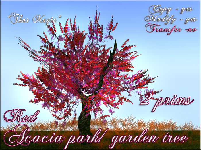 *Thus Magic* ~ 2-prim Acacia park garden tree RED *** 